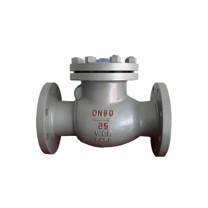 DN50 PN25 介質(zhì)：甲胺，溫度：80℃止回閥